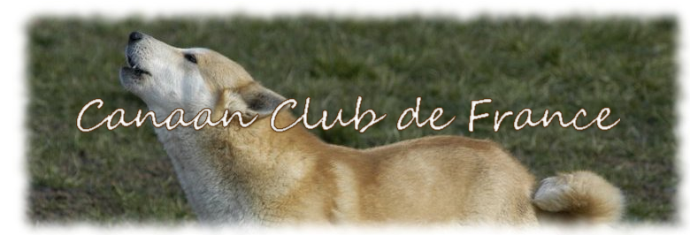 Banière Canaan Club de France